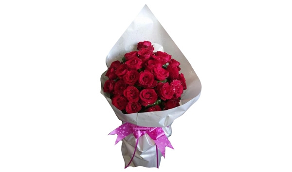 producto 89millas